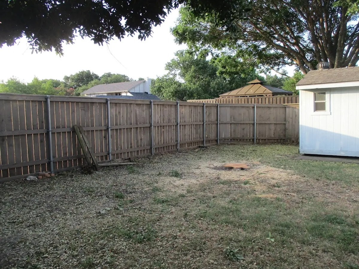 Cleared yard after professional tree removal in Maidsville